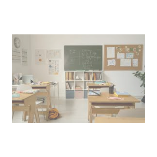 Z- Support the Mission 🌻